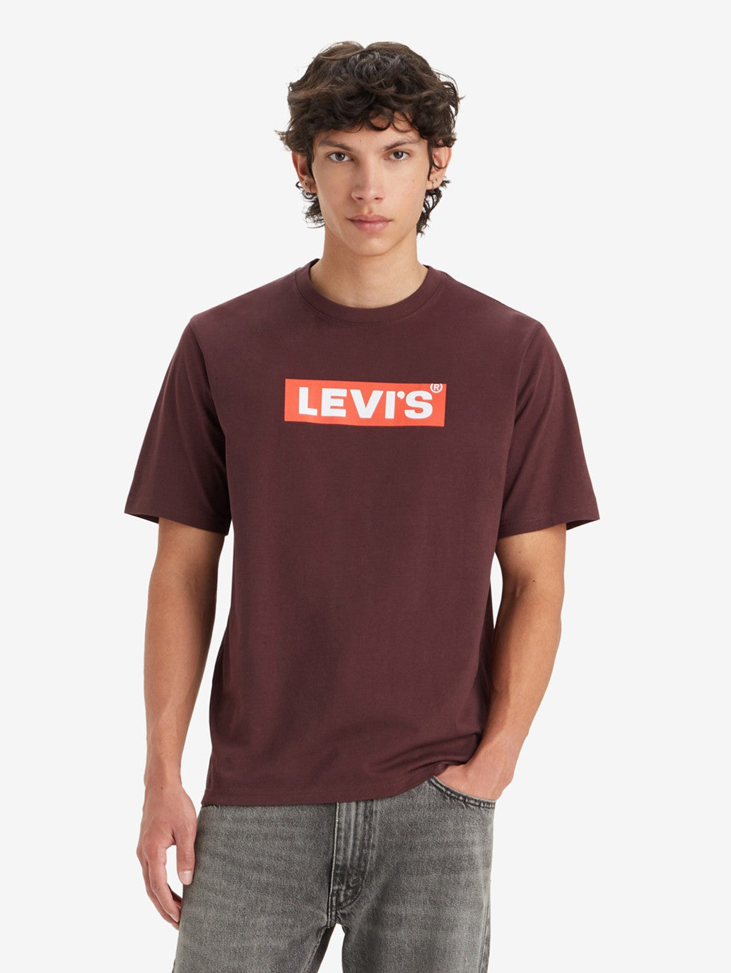 Levi's® Men's Relaxed Fit Short-Sleeve Graphic T-Shirt